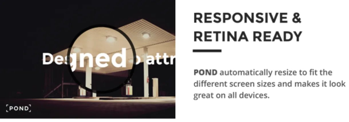 Pond Pro