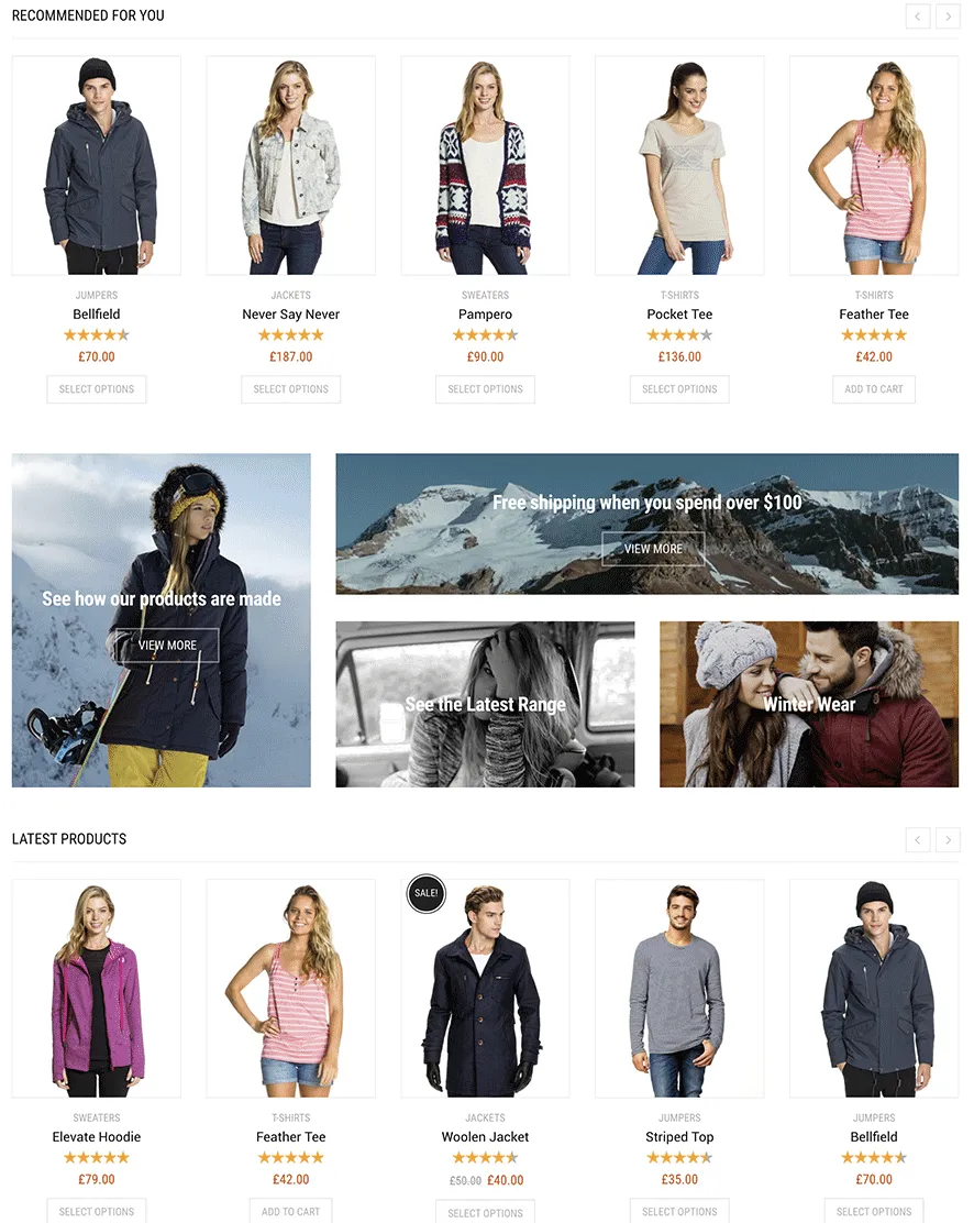 Adrenalin Pro – Multi-Purpose WooCommerce Theme 6 QQ20250731 165839.png
