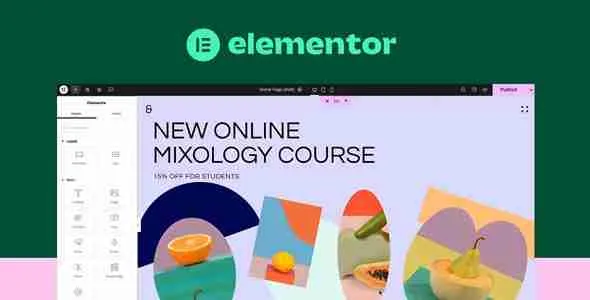 Elementor Pro Beta