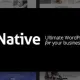 Native Pro – Stylish Multi-Purpose Creative WP Theme