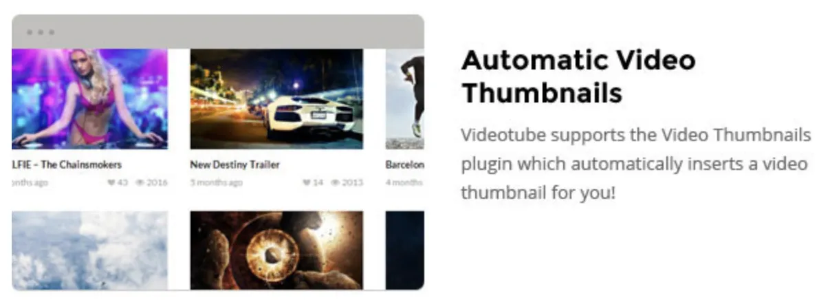 VideoTube Pro - Responsive Video WordPress Theme 6 QQ20250802 174546.png