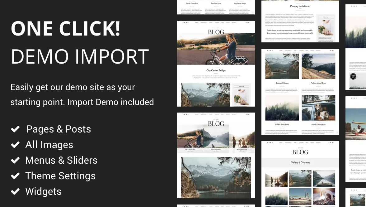 Grand Blog WordPress Pro