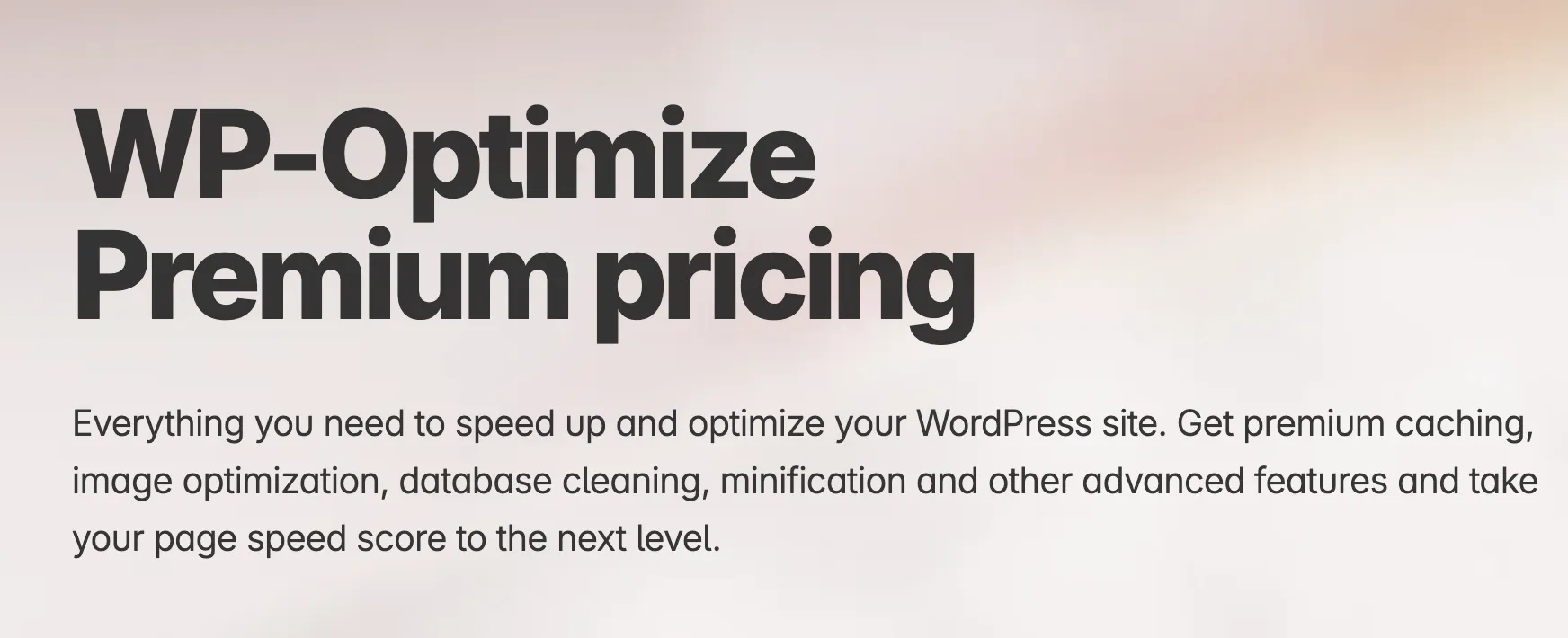 WP-Optimize Premium pricing Pro