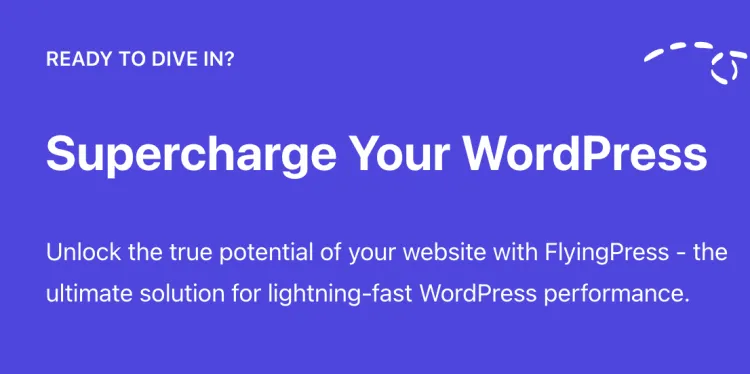 FlyingPress Pro