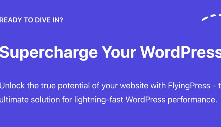 FlyingPress Pro