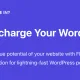 FlyingPress Pro – Lightning-Fast WordPress on Autopilot