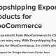 Dropshipping Export Products for WooCommerce – WP Desk