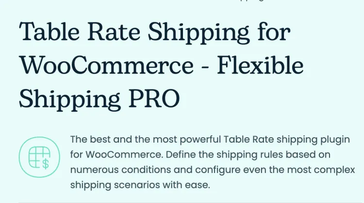 Flexible Shipping Pro