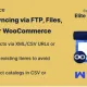 Webkul – Product Syncing via FTP File URL for WooCommerce