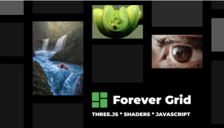 Forever Grid WordPress and WooCommerce Plugin