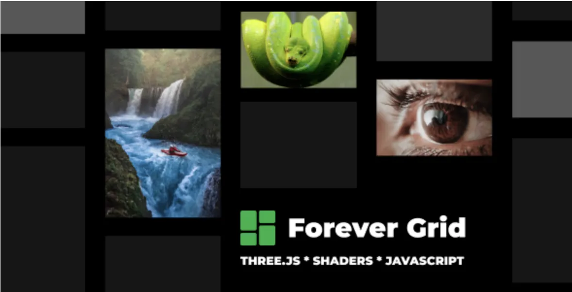 Forever Grid WordPress and WooCommerce Plugin 2 Forever Grid WordPress and WooCommerce Plugin