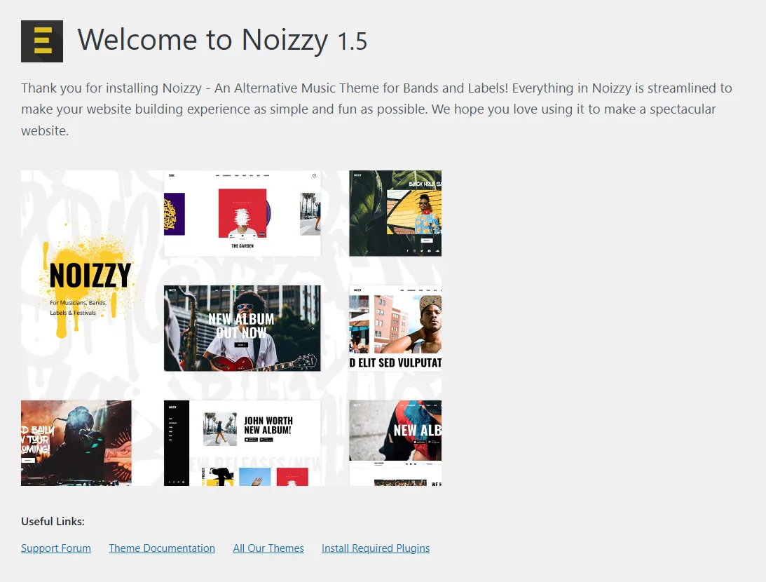 Noizzy Pro