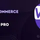 Sensei Pro (WC Paid Courses)