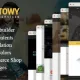 Towy – Emergency Auto Towing and Roadside Assistance Service WordPress theme