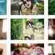Responsive Photo Gallery Pro