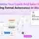 WP Funnels Pro – Marketing Funnel Automation In WordPress