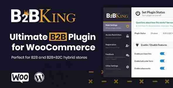 B2BKing