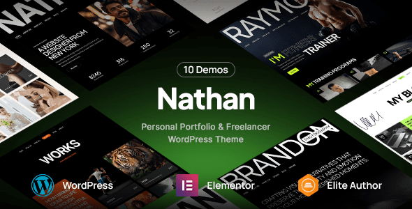 Nathan - Personal Resume CV Portfolio WordPress Theme