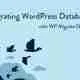 WP Migrate DB Pro – WordPress Site Migration Plugin