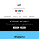 Bold – Themify WordPress Theme