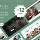 Aramco – Physiotherapy & Wellness WordPress Theme