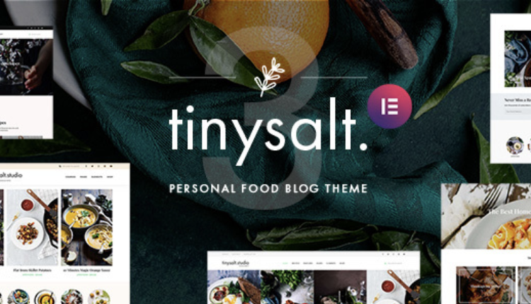 TinySalt - Personal Food Blog WordPress Theme