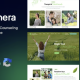 Mindthera – Psychology and Counseling WordPress Theme