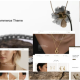 Adena – Jewelry Store WooCommerce WordPress Theme