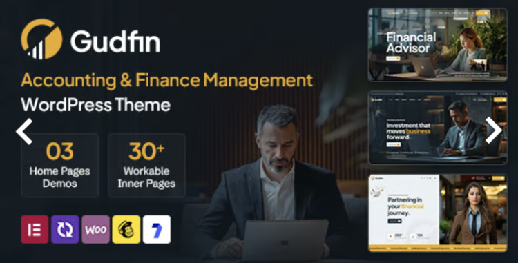 Gudfin - Accounting and Finance Management WordPress Theme