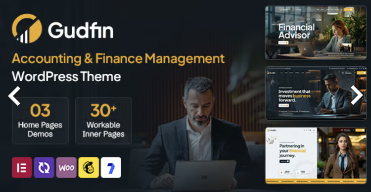 Gudfin - Accounting and Finance Management WordPress Theme