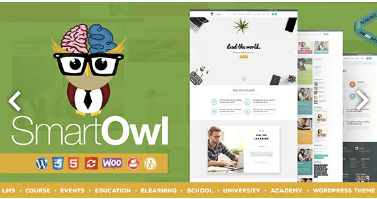 SmartOWL - LMS Education WordPress Theme