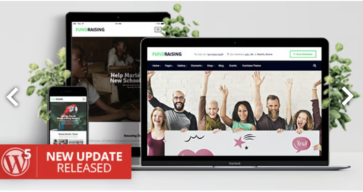 Fundraising - Charity/Donations WordPress Theme