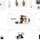 Ottar – Contemporary Portfolio WordPress Theme
