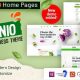 Organio – Organic Food Store WordPress