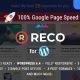 Reco – Minimal Lightweight AMP Theme for Freebies