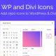 WP and Divi Icons Pro Plugin