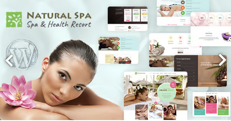 Natural Spa - Massage Booking WordPress Theme