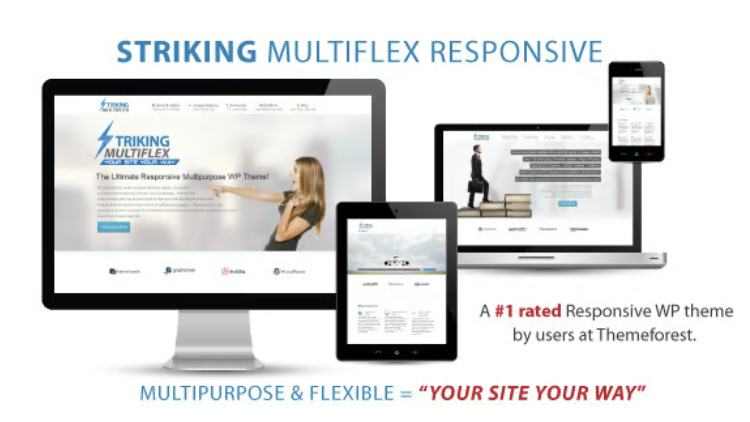 Striking - MultiFlex & Ecommerce Responsive WP Theme