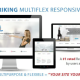 Striking – MultiFlex & Ecommerce Responsive WP Theme