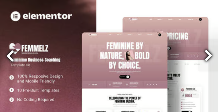 Femmelz - Feminime Business Coaching Elementor Template Kit