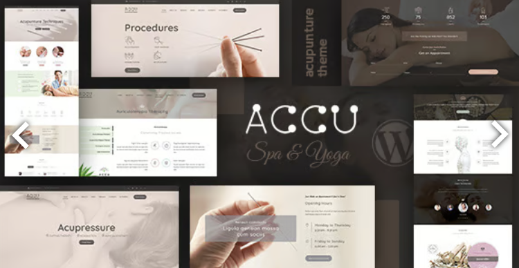 Accu - Healthcare, Massage WordPress Theme