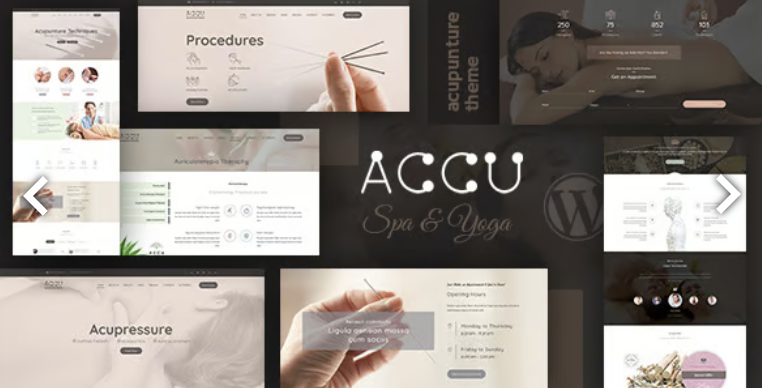 Accu - Healthcare, Massage WordPress Theme 2 Accu - Healthcare, Massage WordPress Theme