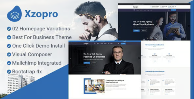Xzopro - Finance And Business WordPress Theme