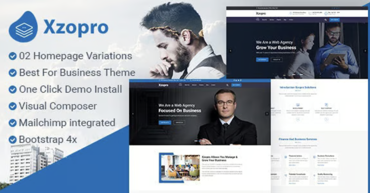 Xzopro - Finance And Business WordPress Theme