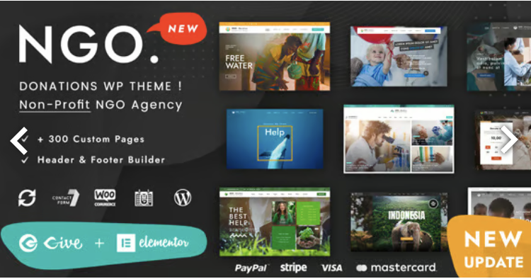 Ngo - Charity Donation WordPress