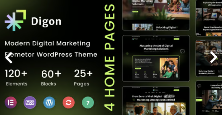 Digon - SEO and Digital Marketing Agency WordPress Theme