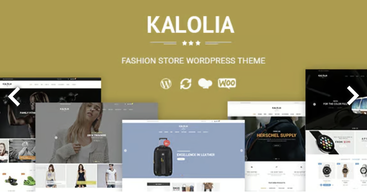 SNS Kalolia - Shop WordPress WooCommerce Theme