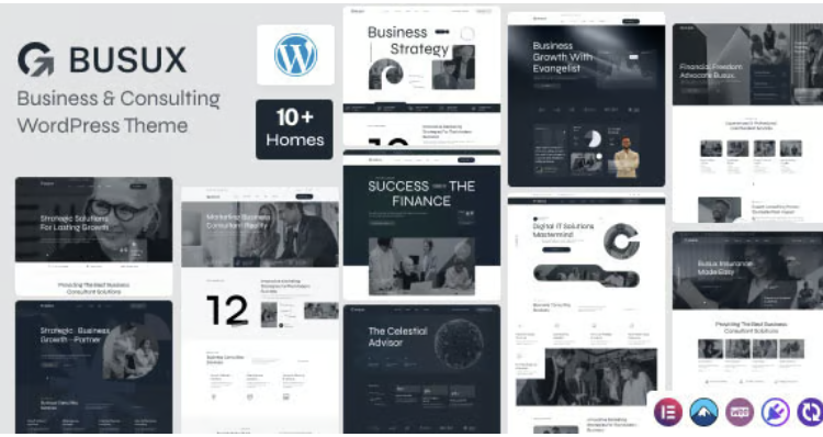 Busux - Business & consulting WordPress Theme