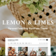 Lemon Limes – Personal Food Blog WordPress Theme