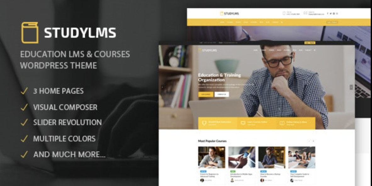 Studylms – Education LMS Courses WordPress Theme